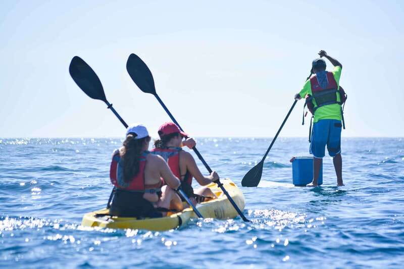 Los Cabos Arch & Playa del Amor Tour by Glass Bottom Kayak - Price and value: is $95 worth it for a 3-hour day?