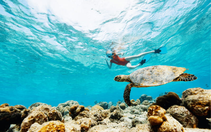 los cabos arch tour & drinks +snorkel tour - Price and Value: Is $52 a Good Deal in Los Cabos?