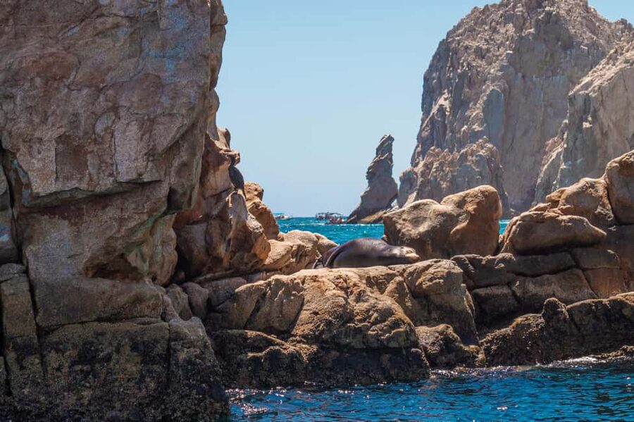 los cabos arch tour & drinks +snorkel tour - The 45-Minute Scenic Boat Ride That Sets the Tone