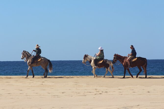 Los Cabos ATV and Pacific Horseback Riding Combo Tour - Group size and the attention you get