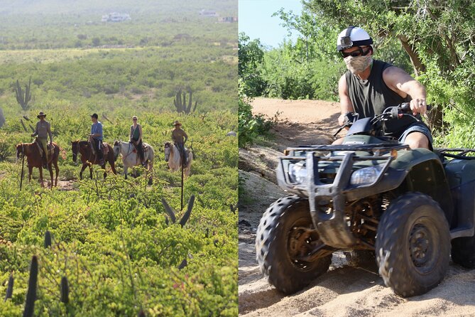 Los Cabos ATV and Pacific Horseback Riding Combo Tour - ATV riding through canyon trails, desert plants, and Pacific scenery