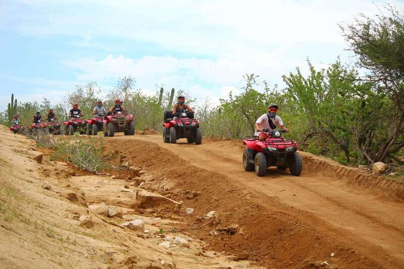 Los cabos:ATV beach&desert with transfer & tequila tasting - Mating Season Watching: Why the Nature Stops Are the Real Secret Sauce
