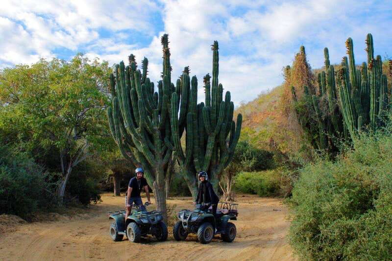 Los cabos:ATV beach&desert with transfer & tequila tasting - Group Experience: Skill Level, Pace, and Shared Riding Considerations