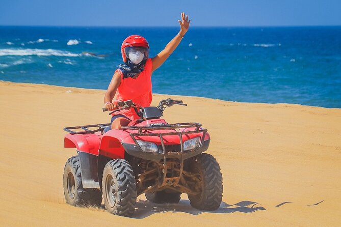Los Cabos ATV Tour Double Rider - Wildlife and seasonal magic: whales in winter, fauna year-round