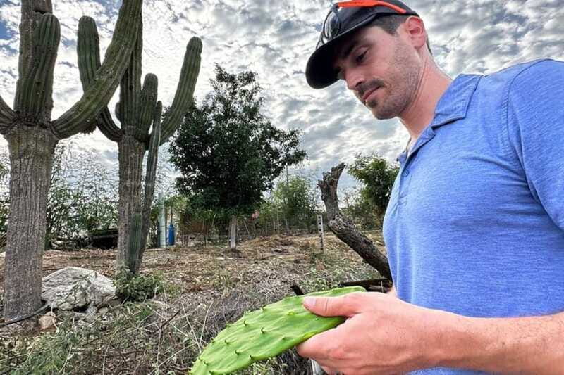 Los Cabos: Azteca Cactus Taco Farm to Table Cooking Class - Who should book this nopal cactus taco class