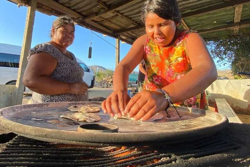 Los Cabos: Azteca Cactus Taco Farm to Table Cooking Class - Should you book Los Cabos: Azteca Cactus Taco Farm to Table?