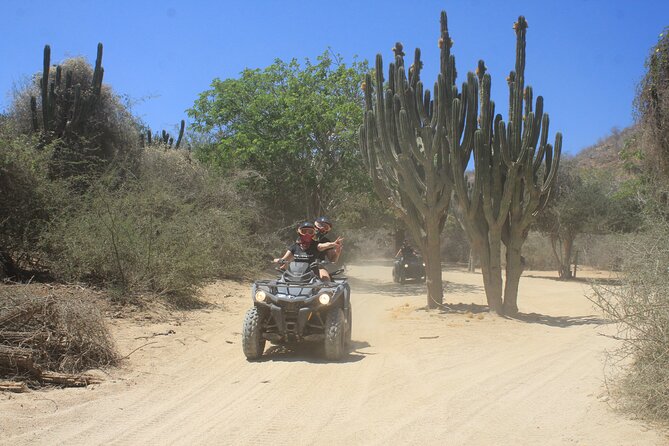 Los Cabos Beach & Desert Tour in Automatic ATV + Tequila Tasting - Tequila tasting: fun after the dust, but plan for non-drinkers
