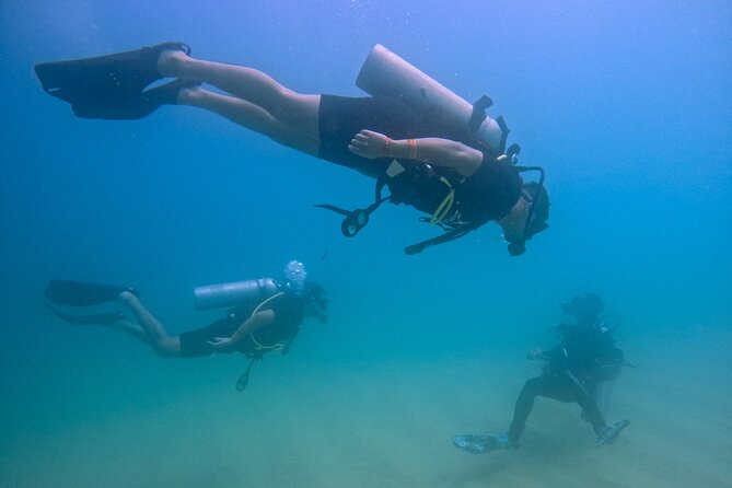 Los Cabos Beginner Scuba Dive Experience - Highlights You’ll Care About Most