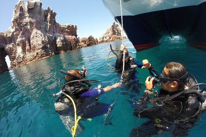 Los Cabos Beginner Scuba Dive Experience - Small Group Size: Why It Changes Your Whole Day