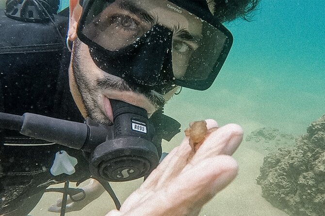 Los Cabos Beginner Scuba Dive Experience - Meeting Point and Getting There: Practical Tips