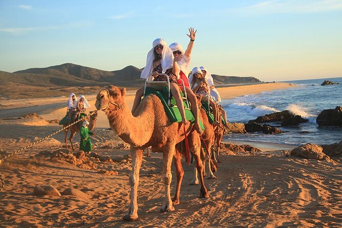 Los Cabos Camel Ride Adventure On The Beach - Playa Migrino does Cabo the slow, salty way