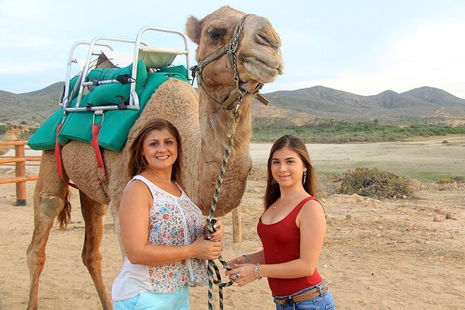 Los Cabos Camel Ride Adventure On The Beach - After the ride: buffet lunch that keeps you going