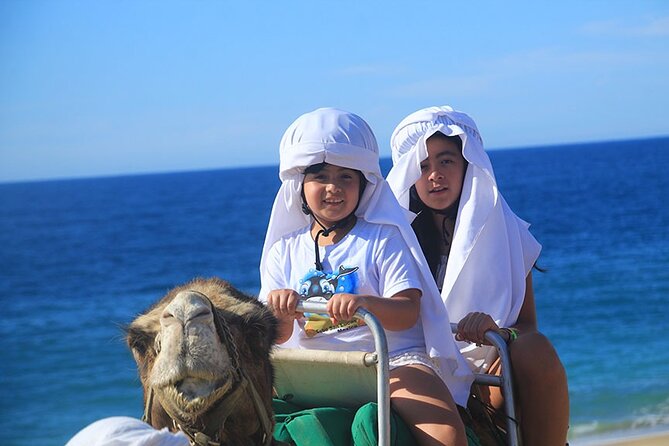Los Cabos Camel Ride Adventure On The Beach - Guides, language, and the small-group feel (up to 40)