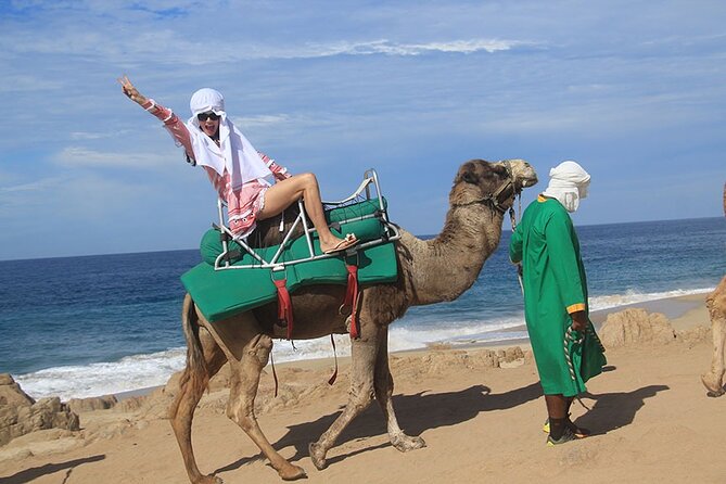 Los Cabos Camel Ride Adventure On The Beach - Price and value: what you pay $109 for, and what costs extra