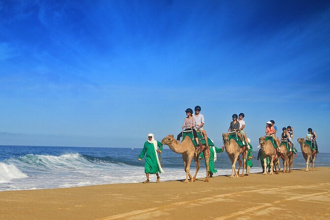 Los Cabos Camel Ride Adventure On The Beach - Practical tips so your day stays comfortable
