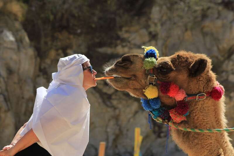 Los Cabos: Camel Ride in the Canyon & Thrilling Water-Slides - Key Things That Make This Tour Worth a Look