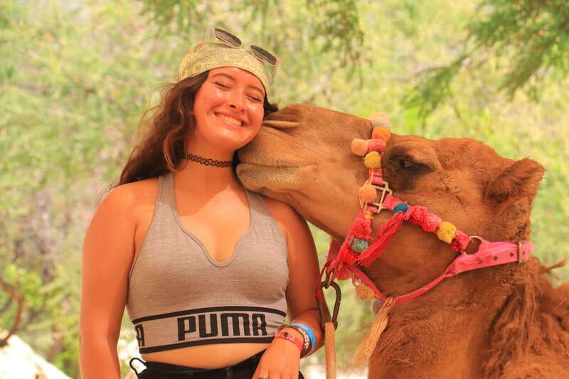 Los Cabos: Camel Ride in the Canyon & Thrilling Water-Slides - El Tule Canyon Oasis: Desert Drama That Actually Makes Sense