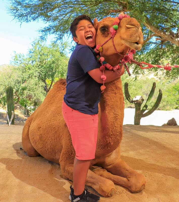 Los Cabos: Camel Ride in the Canyon & Thrilling Water-Slides - Spirits, Snacks, and the Pace of the Canyon Adventure