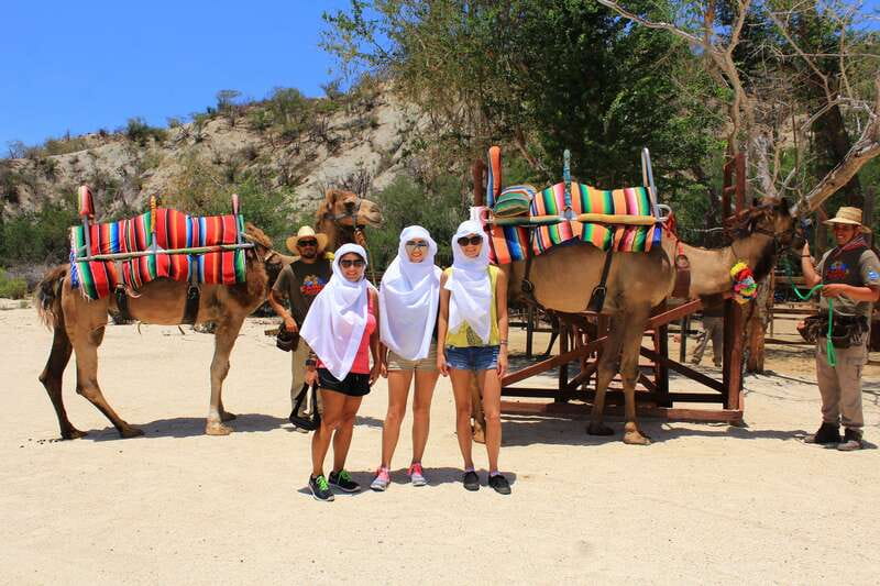 Los Cabos: Camel Ride in the Canyon & Thrilling Water-Slides - Price and Logistics: Where Value Shows Up, and Where Costs Surprise You