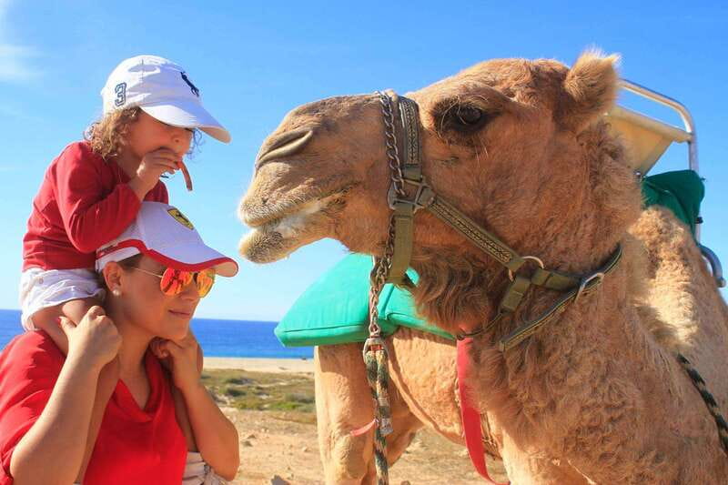Los Cabos: Camel Ride Safari with Lunch and Tequila Tasting - Pacific Ocean Camel Safari, What Makes It Worth Your Time