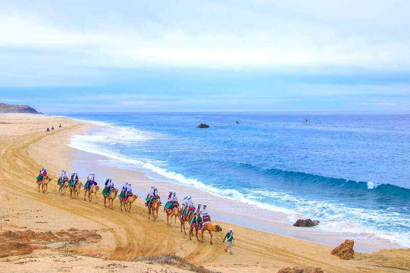 Los Cabos: Camel Ride Safari with Lunch and Tequila Tasting - Lunch and Flavored Water: What You Actually Eat on This Tour