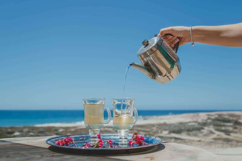 Los Cabos: Camel Ride Safari with Lunch and Tequila Tasting - Tequila Tasting Course: History, Production, and How to Sip
