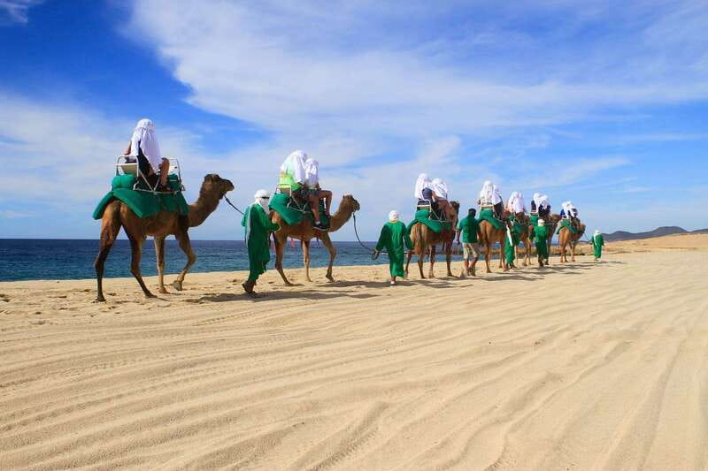 Los Cabos: Camel Ride Safari with Lunch and Tequila Tasting - Price and Value at About $140, Plus the On-Site Park Fee