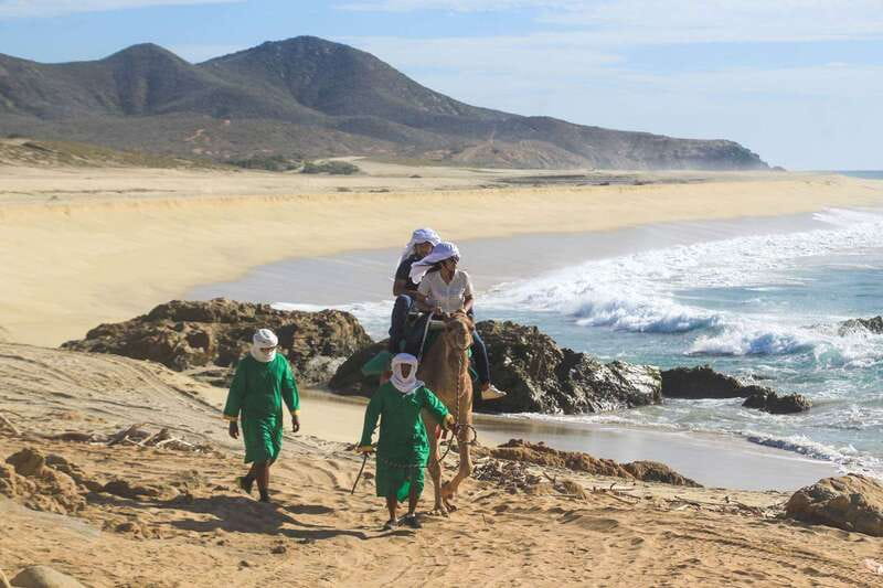 Los Cabos: Camel Ride Safari with Lunch and Tequila Tasting - Rules, Comfort, and What to Bring So You Enjoy It More