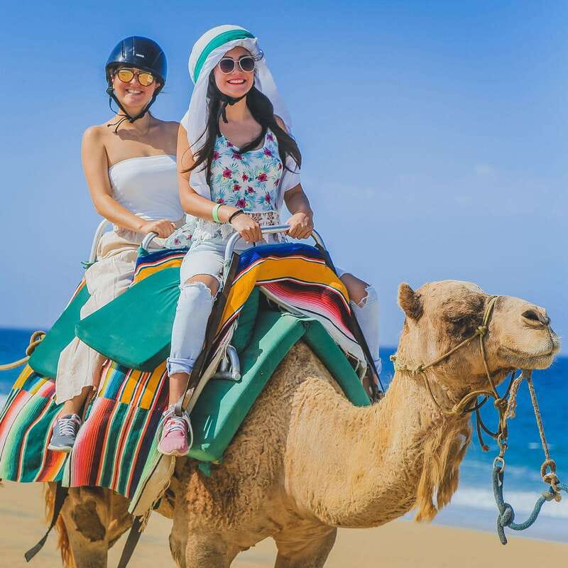 Los Cabos: Camel Ride Safari with Lunch and Tequila Tasting - Who This Los Cabos Camel Safari Fits Best
