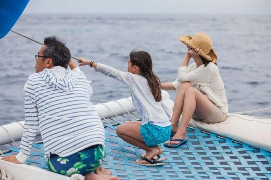 Los Cabos: Catamaran Whale Watching Cruise - Crew guidance that turns “maybe” into “I know what I’m looking at”