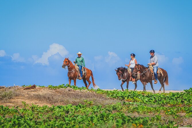 Los Cabos Combo: ATV + Horseback Riding - Price and Value: What You Really Pay for $125