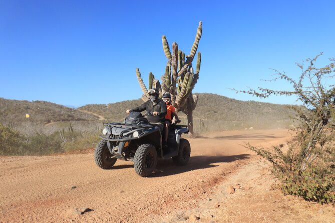 Los Cabos - COMBO Horseback Riding & ATV Tour - Cabo Horseback at Playa Migriño: Slow Pace, Beach Light, Big Memories