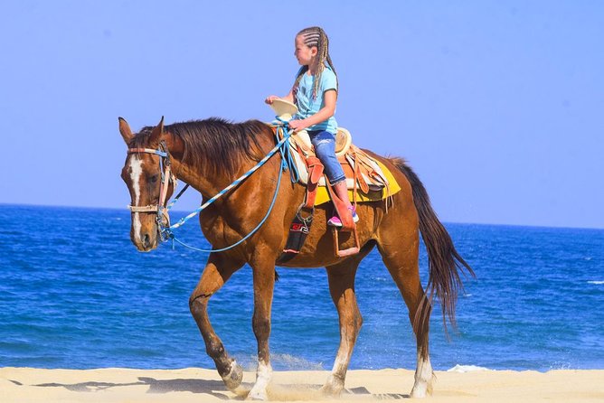 Los Cabos - COMBO Horseback Riding & ATV Tour - ATV Canyon Time: Automatic Riding Through Canyons, Riverbeds, and Dunes