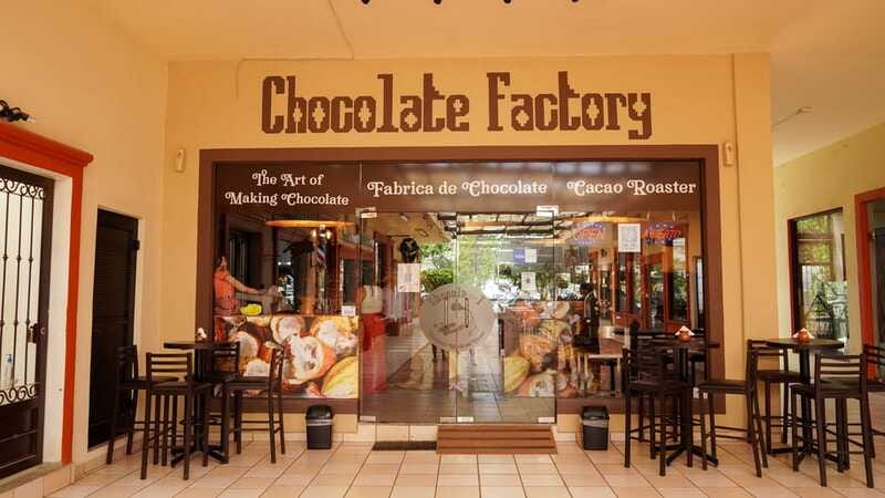 Los Cabos Famous Arch cruise, City tour and Lunch - Timing and getting around, including the 1.5-hour van ride