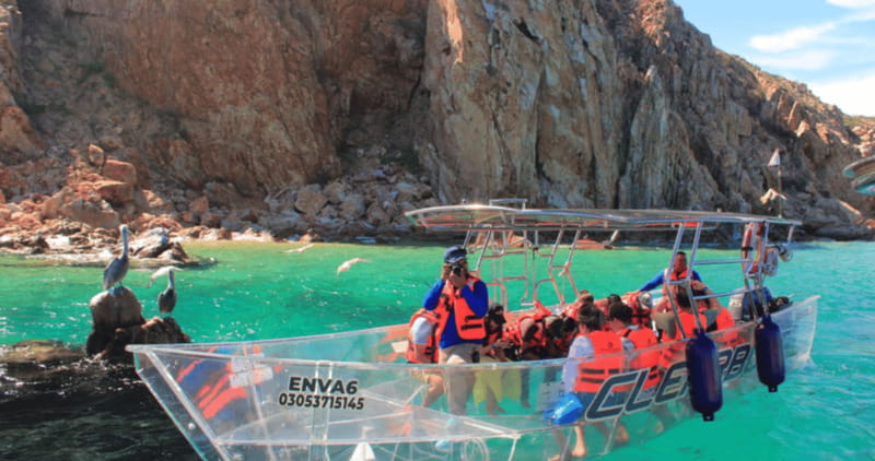 Los Cabos: Get to know the arch on the iconic transparent boat tour - Transparent Boat Views of Cabo’s Arch and Reef Life