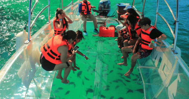 Los Cabos: Get to know the arch on the iconic transparent boat tour - Lands End: Seeing the Last Piece of Land in BCS