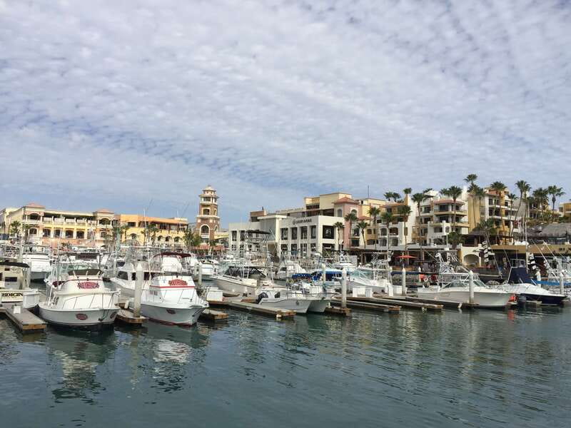 Los Cabos: Half-Day San Lucas and San Jose Tour - Cabo San Lucas marina walk and Tourist Corridor viewpoints
