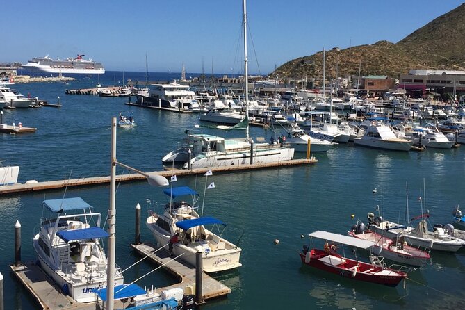 Los Cabos Half-Day Tour Discovering San Jose and San Lucas - Plaza Amelia Wilkes and the center of Cabo San Lucas energy