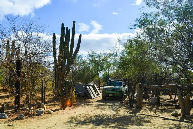Los Cabos: Hiking at the Fox Canyon with Waterfall - Fox Canyon: Why This Hiking Day Feels Different Than a Typical Cabo Tour