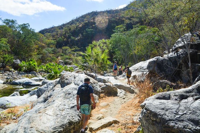 Los Cabos: Hiking at the Fox Canyon with Waterfall - Lunch in Miraflores: Local Tacos, Real Flavor, and a Vegan Option
