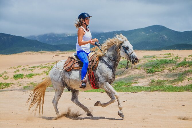 Los Cabos Horseback Riding - Beach time, desert trails, and the best spots for Sea of Cortez photos