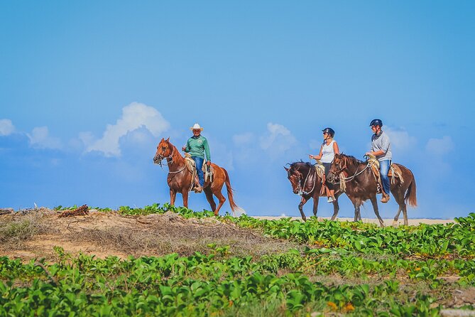Los Cabos Horseback Riding - Price and logistics: $120 plus park admission, and why you should budget extra