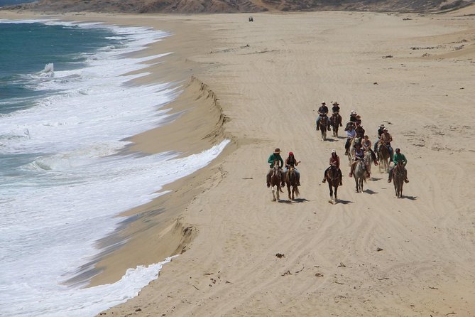 Los Cabos Horseback Riding - How long the ride really feels: 2 hours on the clock, variable on the ground