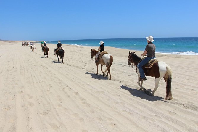 Los Cabos Horseback Riding - What to wear, what to bring, and how to stay comfortable in Cabo heat