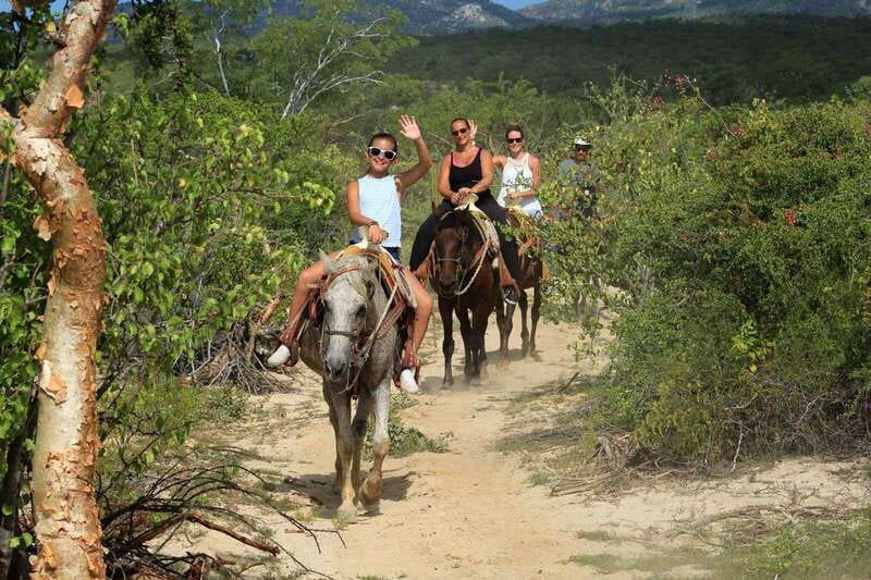 Los Cabos: Horseback Riding in Canyon a Mexican Experience - Price and the real cost after add-ons