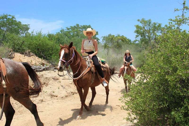 Los Cabos: Horseback Riding in Canyon a Mexican Experience - Getting set up: small group riding and the safety briefing