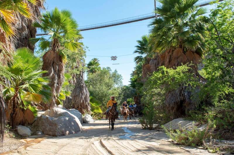 Los Cabos: Horseback Riding in Canyon a Mexican Experience - Food and drinks at Lion’s Den: included and actually satisfying