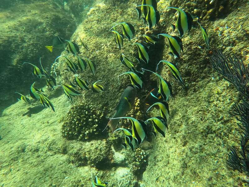 Los Cabos: Kayak to The Arch & Snorkel + Transport & Photos - What’s included (and what you should plan for)