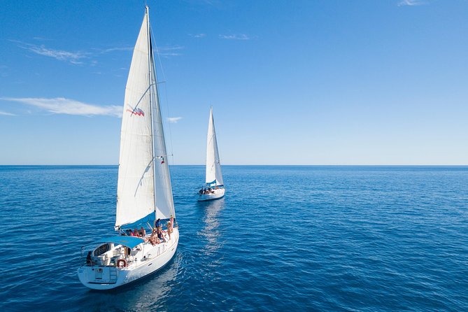 Los Cabos Luxury Sailing, Snorkel and Lunch Cruise - Crew service, the “calm confidence” factor, and what to watch for