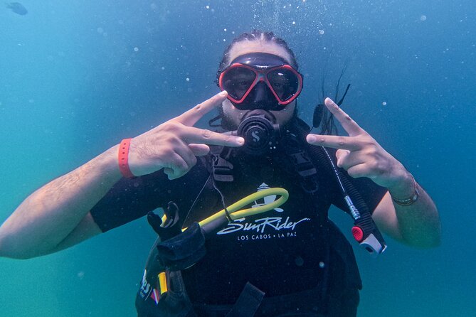 Los Cabos Open Water Diver Course - Key Highlights You’ll Care About
